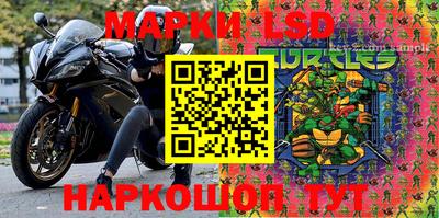бошки Шебекино
