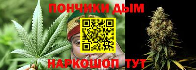 шишки Шелехов