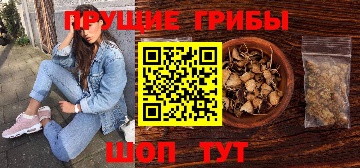 Галлюциногенные грибы Psilocybe  Вход с VPN  Белорецк 